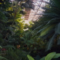 Krohn Conservatory